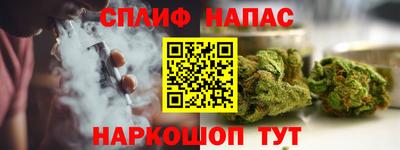 стаф Донской
