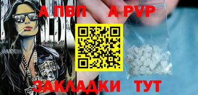 стаф Донской