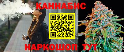 стаф Донской