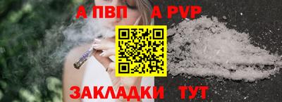 стаф Донской