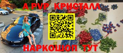 стаф Донской
