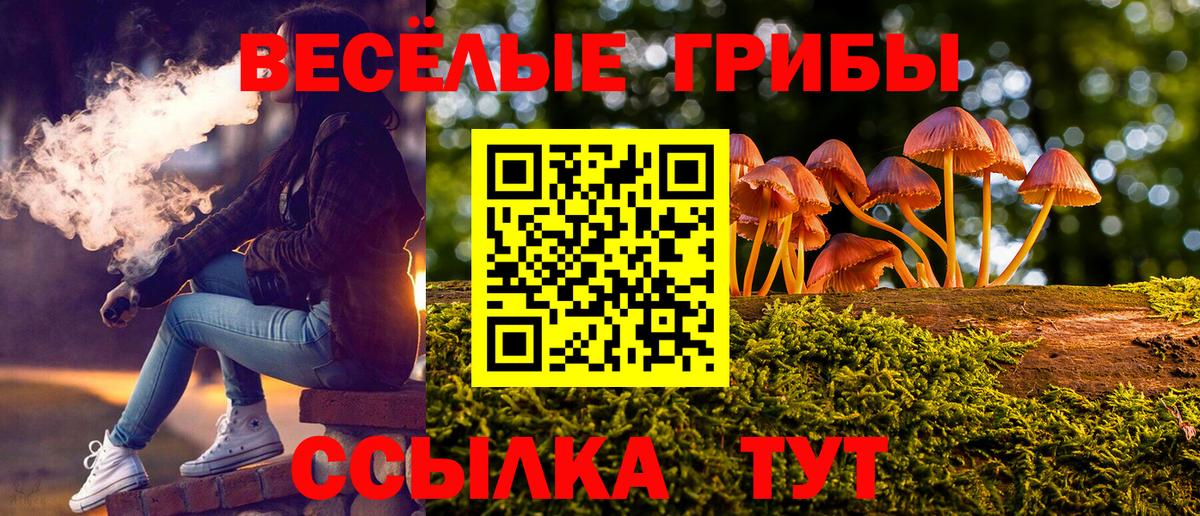 Галлюциногенные грибы мицелий Воронеж