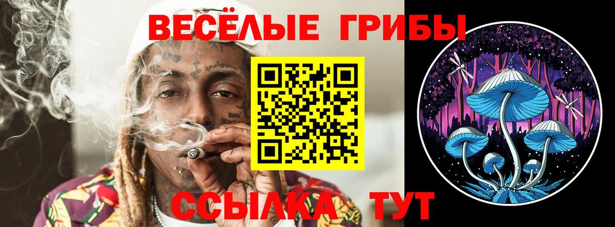 Воронеж  Галлюциногенные грибы Magic Shrooms  цена наркотик  Вход с VPN 